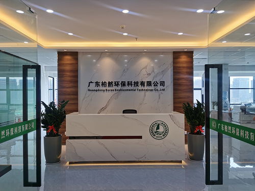 專業(yè)高效，助您輕松過關(guān)——佛山環(huán)評(píng)代辦專家，為企業(yè)發(fā)展保駕護(hù)航