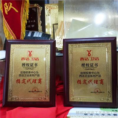 5G通信技術服務典范 定制金箔獎牌與榮譽牌匾，